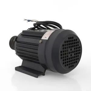 Электродвигатель к Куттеру DPX45  